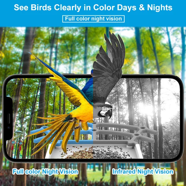 Smart Hummingbird Feeder Camera & Bird Bath