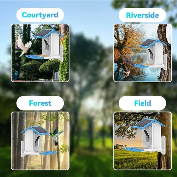 Smart Hummingbird Feeder Camera & Bird Bath