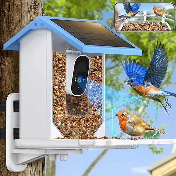 Smart Hummingbird Feeder Camera & Bird Bath
