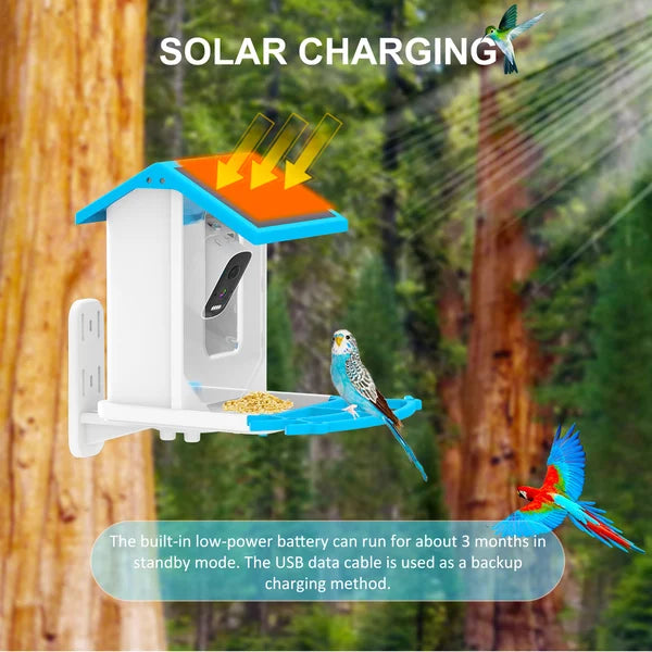 Smart Hummingbird Feeder Camera & Bird Bath