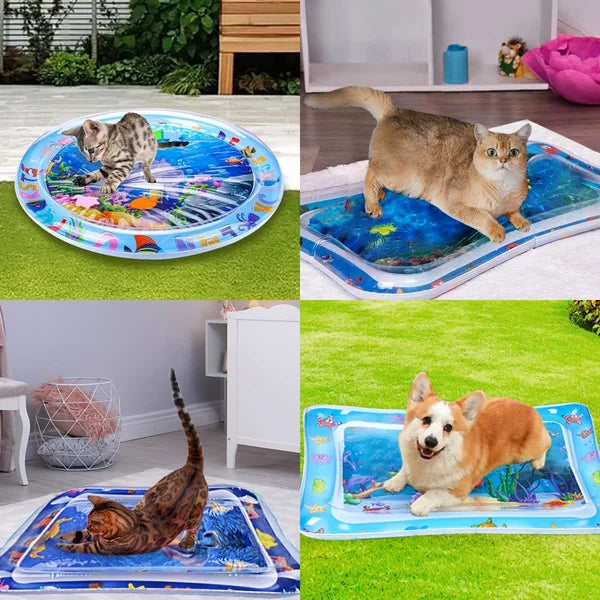 Pet Water Sensory Mat, Gift For Pet Lovers