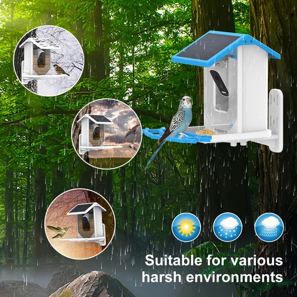 Smart Hummingbird Feeder Camera & Bird Bath