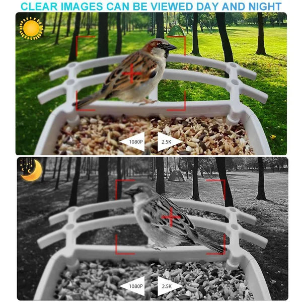 Smart Hummingbird Feeder Camera & Bird Bath