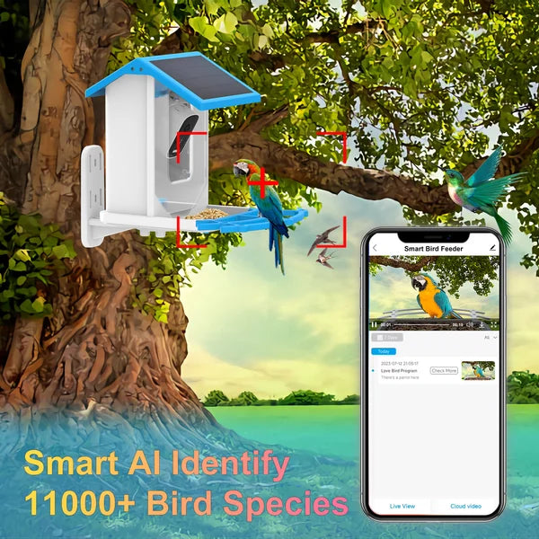 🔥Hot Sale 49% OFF🔥Smart Hummingbird Feeder Camera & Bird Bath