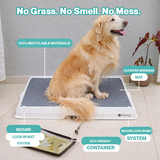 FlowDry Smart Dog Potty
