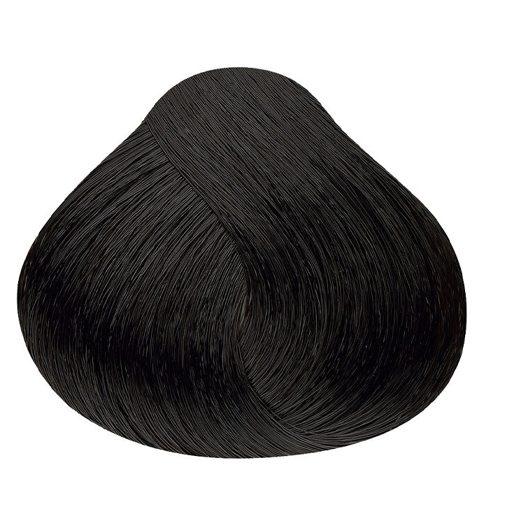 Polra Instant Dye Shampoo