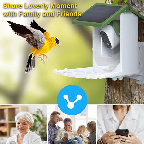 🔥Hot Sale 49% OFF🔥Smart Hummingbird Feeder Camera & Bird Bath